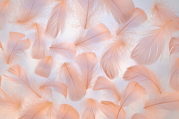 Peach colored fluffy feathers texture. Color of the year 2024 background