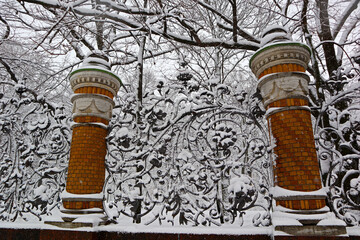 Garden trellis covered with white snow during winter snowfall. Detail of decorative fence of Mikhailovsky Park in St. Petersburg (Russia) on a cloudy snowy day.