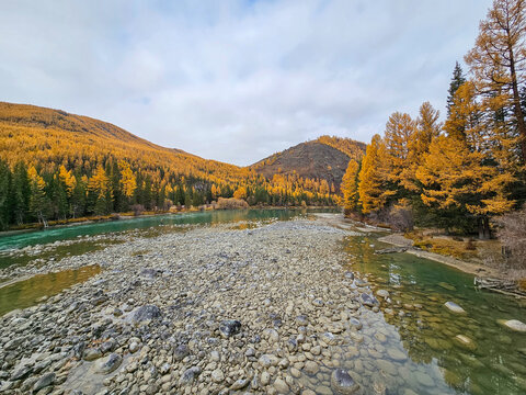 Low water season. Wide shallow river in late autumn, the Argut mountain river in Altai.