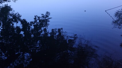 Fototapeta na wymiar Reflection of treeas in lake water
