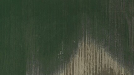 Perpendicular aerial view of a green grass field for architectural landscape design texture - obrazy, fototapety, plakaty