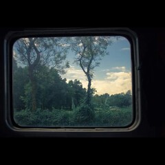 view from the window of a train