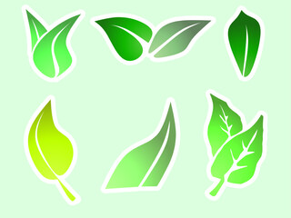 collection of gradient green leaves. Vector illustration isolated
