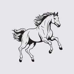 Horse illustration Vector