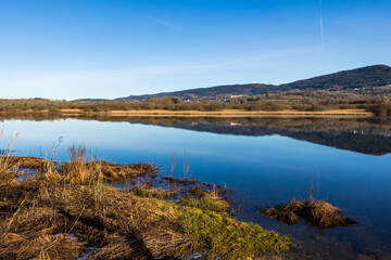 Etang des Lésines et Marais de Vaux sur le Plateau d’Hauteville en hiver