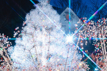 箱根のクリスマスのイルミネーション