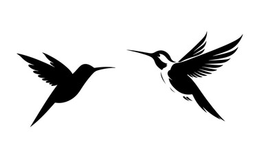 Hummingbird illustration, logo. Vector icon drawing on white background