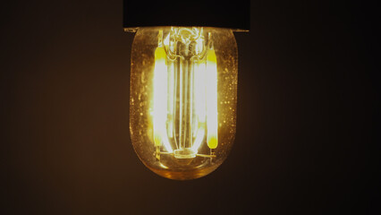 LED filament light bulb - 697608102