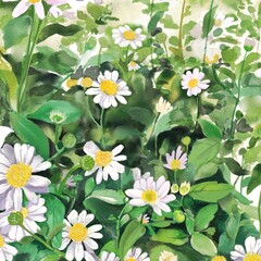 daisies daisy flower watercolor