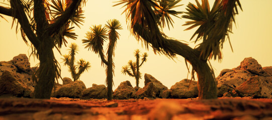Joshua trees and rocks in arid landscape at sunset.