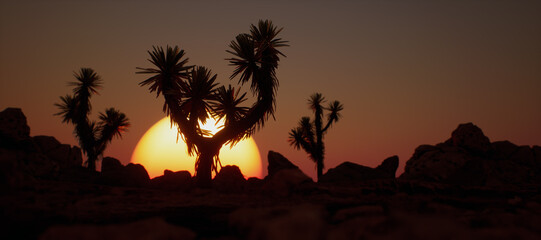 Three joshua trees and rocks in arid landscape at sunset.