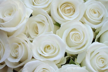 A close up of a stunning bunch of white roses - delicate petals