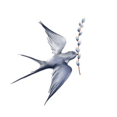 Swallow bird flying isolated on white background with fluffy willow branche.Watercolor illustration.Object for greeting card,post card,textile.