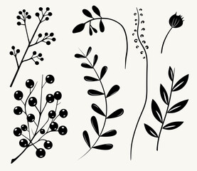 Monochrome plants. Leaves, branches, floral elements set. Outline botanical illustration. Hand drawn isolated plants.