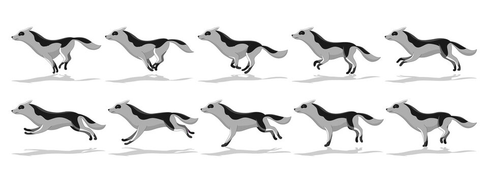 Dog running animation with different creature movements. Doggy poses in movement. Character move for games, cartoon or video. Flat  illustration