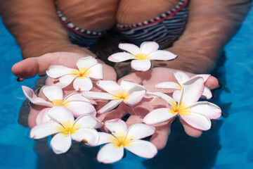 Young woman with big breasts in the swimming pool with flowers of plumeria (frangipani). Nusa Penida, Indonesia.