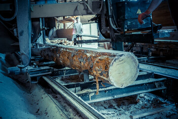 Fototapeta premium Sawmill. Process of machining logs in equipment sawmill machine saw saws the tree trunk on the plank boards. Wood sawdust work sawing timber wood wooden woodworking
