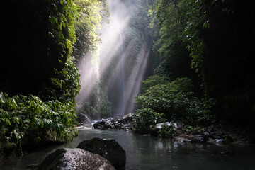 View of a creek leading to Hidden waterfall Sekumpul. Bali, Indonesia.