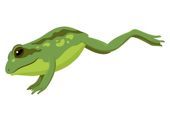 Frog jumping animation icon. Sequences or footage for motion design. Cartoon toad jumping, animal movement concept. Frog leap sequence,  illustration