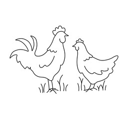 Vector isolated a rooster and a hen are opposite each other colorless black and white contour line easy drawing