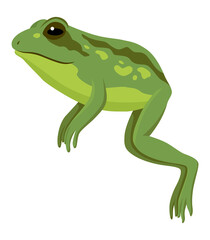 Frog jumping animation icon. Sequences or footage for motion design. Cartoon toad jumping, animal movement concept. Frog leap sequence,  illustration