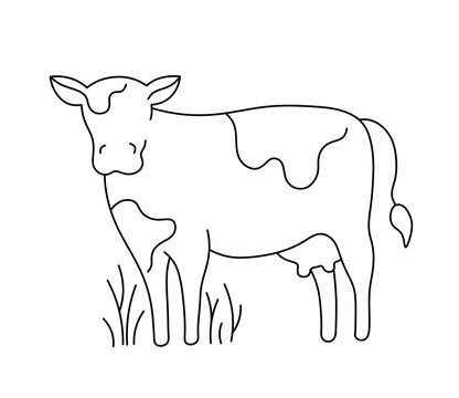 Vector isolated one single cow stand side view colorless black and white contour line easy drawing