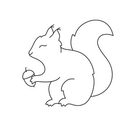 Vector isolated one single squirrel with acorn in paws side view colorless black and white contour line easy drawing