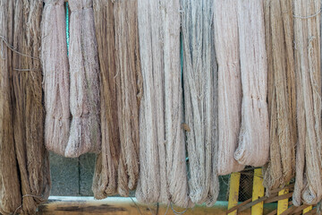 Sprigs of cotton close-up. Beautiful fluffy cotton