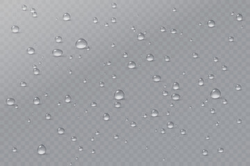 Realistic vector water drops png on a transparent light background. Water condensation on the surface with light reflection and realistic shadow. 3d vector illustration - obrazy, fototapety, plakaty
