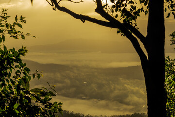 Natural wallpapers (mountains, morning light, fog, trees) scattered around, Lanscape background of fresh air and fresh air.