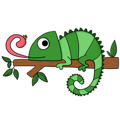 Iguana illustration