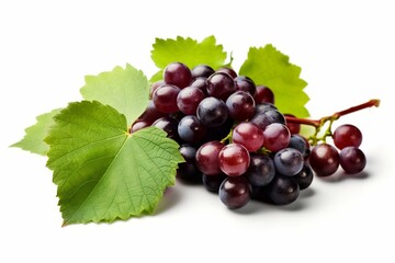 Grapes with leaves on a white background, shadow on the left and top of grapes. Generative AI