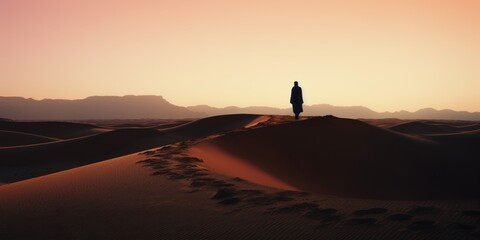 Fototapeta na wymiar Mystical Oasis: Woman Silhouetted Against the Saharan Landscape