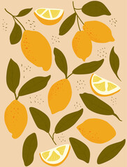 Lemon fruit pattern  stock vector illustration.