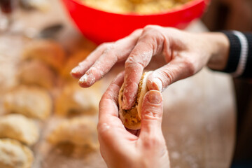Closeup shot of woman hands making sauerkraut dumplings