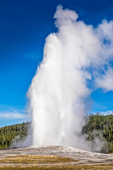 The famous geyser Old Faithful in the Yellowstone National Park - obrazy, fototapety, plakaty