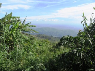 Im Hochland von Sri Lanka bei Haputale