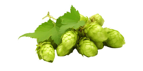 Fototapeta premium Green hops Artificial Intelligence Generative