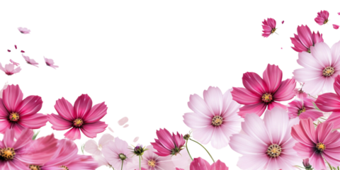 Pink cosmos flower border Artificial Intelligence Generative