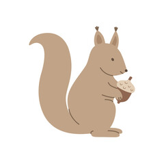 Cute squirrel with acorn isolated on a white background.
