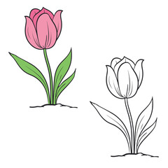 pink tulip on white background. Simple Design Outline Style. You can give color you like. Vector Illustrations