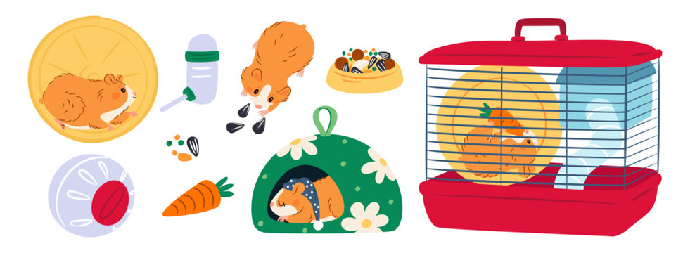 Hamster accessories. Pets cage with feeder and running wheel. Cartoon domestic rodents eat seeds or carrot. Little animals. Drinker and feeding bowl. Vet shop. Garish vector veterinary set