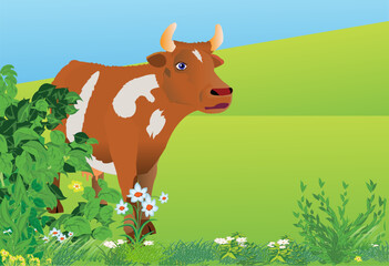 A red cow standing near the green bushes. Vector illustration in realistic style. 
