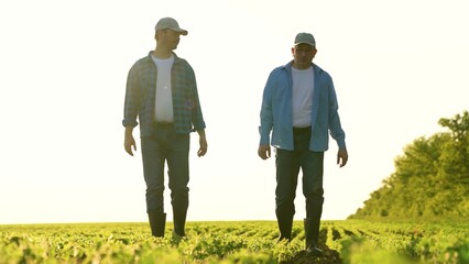 two male agricultural workers sunset. work in the field of two agronomists. harvesting on the...