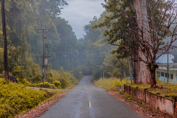 panoramic background of high mountain scenery, overlooking the atmosphere of the sea, trees and wind blowing in a cool blur, spontaneous beauty