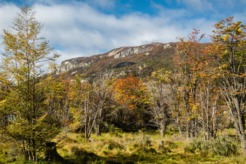 Fototapeta premium Parque Nacional, Tierra del Fuego, Argentina