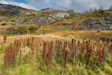Parque Nacional,  Tierra del Fuego, Argentina © Sebastian