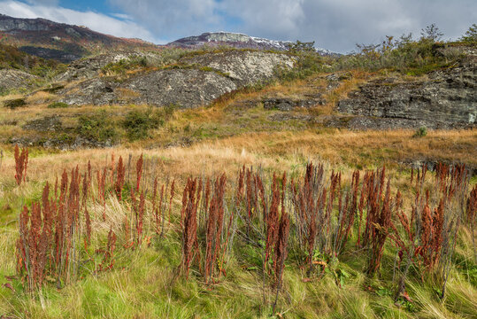 Parque Nacional,  Tierra del Fuego, Argentina
