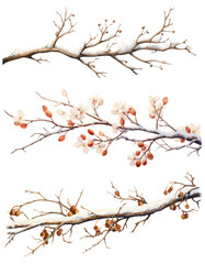 Vector watercolor illustration branches with snow，winter or spring branches，Christmas branches	,new year
