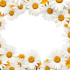frame of daisy flowers